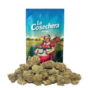 Detalle de flores CBD La Cosechera Small Buds AK 47 en primer plano para uso aromático y cosmético