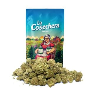 Flores CBD La Cosechera Small Buds Amnesia en primer plano mostrando textura y color para usos aromáticos y ornamentales