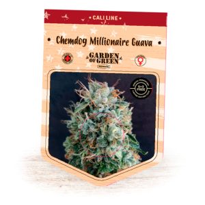 Chemdog Millionaire Guava Garden of Green Seeds