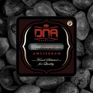DNA Mix 3 u. fem. DNA Genetics