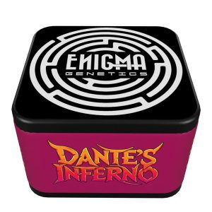Semillas feminizadas Dante´s Inferno de Enigma Genetics para cultivo