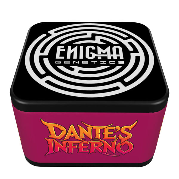 Semillas feminizadas Dante´s Inferno de Enigma Genetics para cultivo