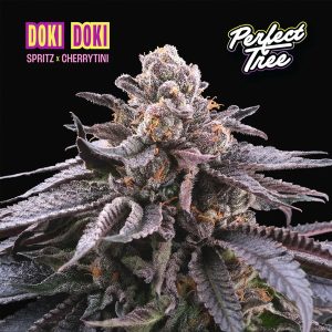 Doki Doki Perfect Tree