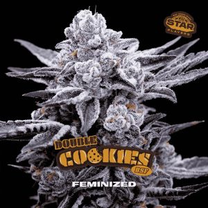 Semillas feminizadas Double Cookies para cultivo
