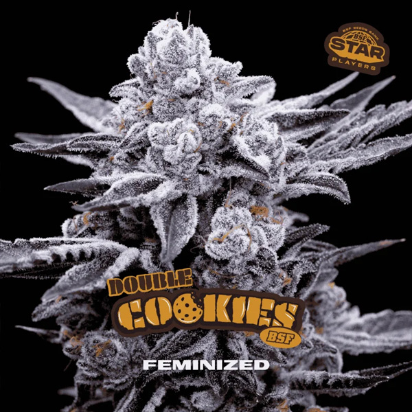 Semillas feminizadas Double Cookies para cultivo