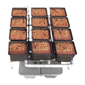 Dutch Pots 1m2 Hidropónico General Hydroponics 48/72 h.