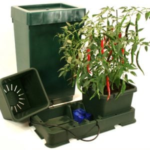 Easy2grow XL 2 - Deposito 47 lts. Green Autopot 48/72 h.