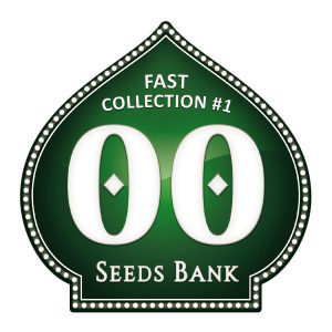 Fast Collection 1 - 00 Seeds