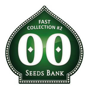 Fast Collection 2 - 00 Seeds