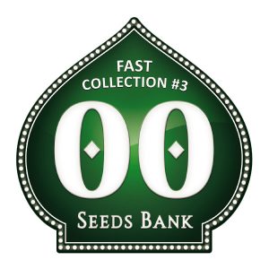 Fast Collection 3 - 00 Seeds
