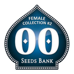 Female Collection 2 - 00 Seeds