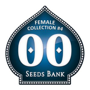 Female Collection 4 - 00 Seeds