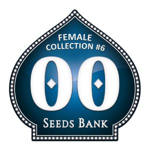 Female Collection 6 - 00 Seeds