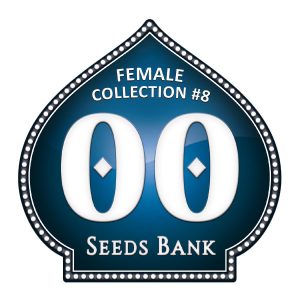 Female Collection 8 - 00 Seeds
