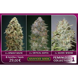 Feminized Collection #1 Advanced Seeds