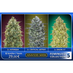 Feminized Collection #5 Advanced Seeds