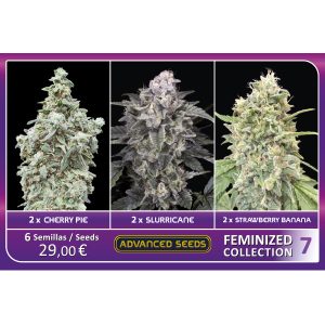 Feminized Collection #7 Advanced Seeds