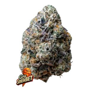 Gary Sherbet FastBuds Seeds