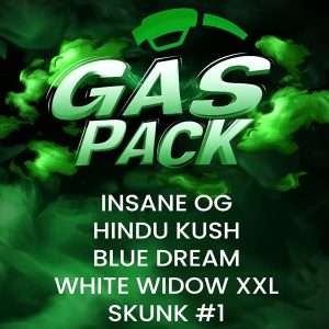 semillas feminizadas Gas Barney's de Barney's Farm