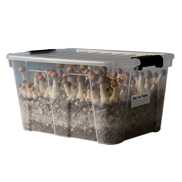 Grow Kit Monotube Doble Most Value Producer