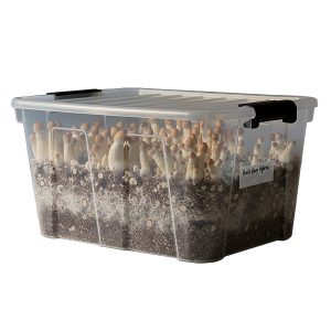 Grow Kit Monotube Doble Penis Envy Hybrid