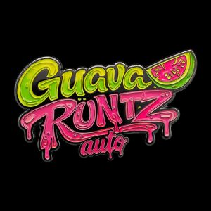 Semillas feminizadas Guava Runtz de Fast Buds para cultivo