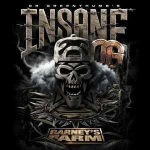 Insane OG 25 u. fem Barney´s