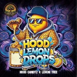 Lemon Hood Drops Elev8 Seeds