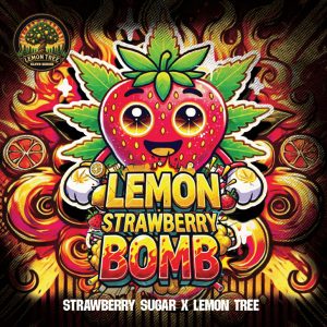 Lemon Strawberry Bomb Elev8 Seeds