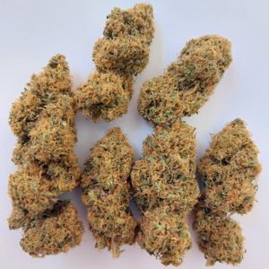 Magic Carrot Ace Seeds