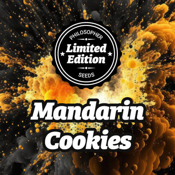 Mandarin Cookies 3 u fem Philosopher