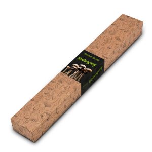 Micelio Liquido Wollongong 10 ml.