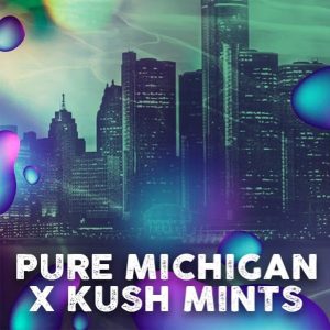 Michigan Mints Tramuntana Seeds
