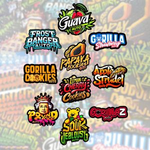 semillas feminizadas Mix Pack Auto de Fast Buds para cultivo automático