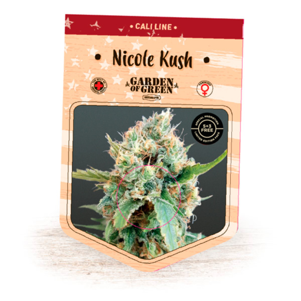 Nicole Kush 5 u. fem. Garden of Green Seeds