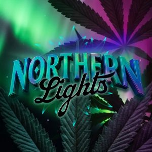 semillas feminizadas Northern Lights de Barney's Farm para cultivo