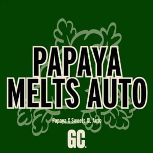 Papaya Melts Auto 5 u. Grand Cru Genetics
