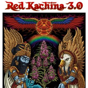 semillas feminizadas Red Kachina 3.0 para cultivo consciente