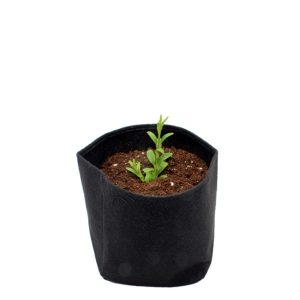 Root Tex Cuadrada 7.5 lt 2 gal Negra.