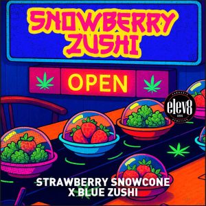 Snowberry Zushi Elev8 Seeds