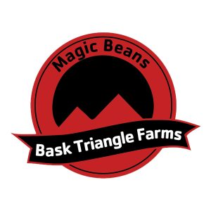 semillas feminizadas StrawberryBoof para cultivo
