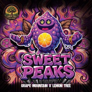 Sweet Peaks Elev8 Seeds