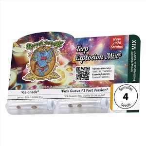 Terp Explosion Mix fem. Sweet Seeds