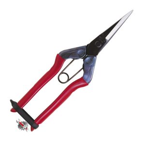 Tijera Chikamasa T-552 Punta Recta