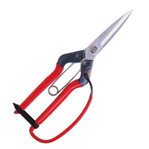 Tijera Chikamasa T-710 GDX Punta Recta