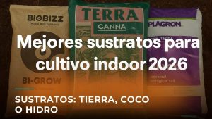 Sacos reales de sustrato BioBizz, Canna y Plagron para cultivo indoor