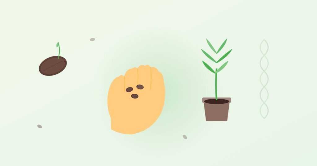 semillas de marihuana feminizadas autoflorecientes grow shop topgrow